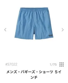 新品　パタゴニアバギーズショーツ　5インチ　L