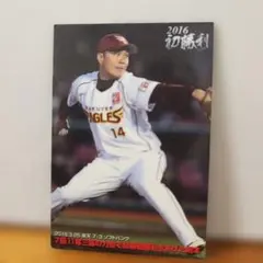 カルビー プロ野球チップス2003 立浪和義 - メルカリ