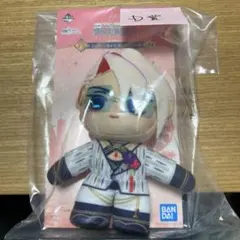 FGO 一番くじ D賞 カルナ ぬいジェニック アーキタイプインセプション