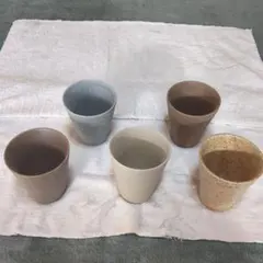 食器　湯呑み茶碗　５点セット