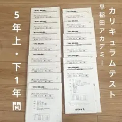 2026年最新】早稲アカ カリキュラムテスト 5年の人気アイテム - メルカリ