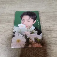 EXO REVERXE　セフン　トレカ