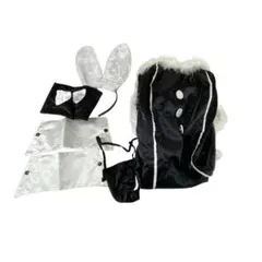 Item thumbnail for item 41514ee9-7ab1-4bd7-a177-28b1e5b8c770