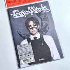 【完全新品未開封】FUMA &TEAM Go in Blind(月狼) ソロ盤