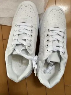 Item thumbnail for item 102f2251-9b3d-4389-a558-3bc9261a1584