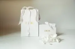 ☆美品☆diorプレゼント用ミニショッパー2つセット