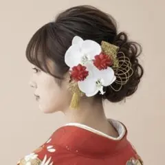 胡蝶蘭豪華 赤 成人式 髪飾り 振袖 和装 花 ドライ 水引 卒業式 白無垢 袴