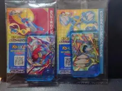 未開封　ポケモンフレンダ2種2枚