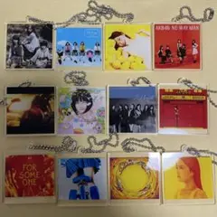 AKB48 ツアーCD購入特典 ジャケ写キーホルダー