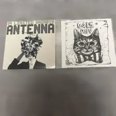 2026年最新】ANTENNA 04limited sazabysの人気アイテム - メルカリ