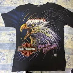 【超激レア】90s ハーレーダビッドソン ヴィンテージTシャツ　イーグル