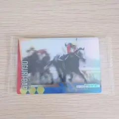 オグリキャップ 安田記念 競馬カード サラブレッドホースコレクション