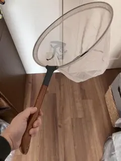 Item thumbnail for item 4e3cb9e9-2e38-4a80-af50-2eb449c9d571