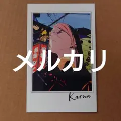 源頼光】FGO フェス Fate ポートレイト 2024年 9th 2枚セット - メルカリ