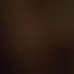 専用