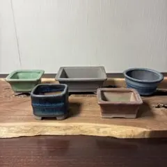 【名品】　小品盆栽鉢　山野草鉢　　陶酔3点 参樹陶園1点 他1点　5点セット