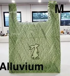 Item thumbnail for item 5b697391-ae8e-4080-92e2-5c9c0b4d5750