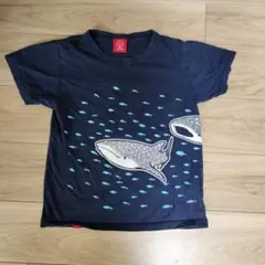オジコ OJICO ジンベイザメ半袖 Tシャツ 12A 140のサムネイル