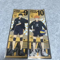 ハイキュー影山飛雄・日向翔陽 グッズセット