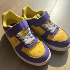 Item thumbnail for item 3c649176-2882-4796-a028-520937e4a8a2