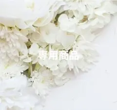 CLAIR D LUNE DIOR ディオール ネックレス　Dior