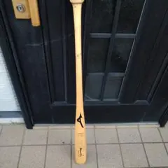 Item thumbnail for item 3cd24552-0788-4b61-af32-b2f430fa21e0