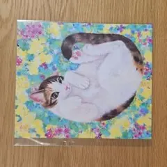 2026年最新】福嶋吾然有の人気アイテム - メルカリ