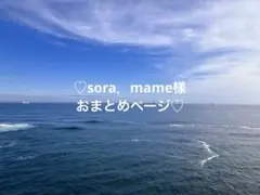 sora.mame様 リクエスト 3点 まとめ商品