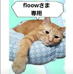 Item thumbnail for item a8f2190f-86a6-428e-81bd-b7fac9f88d94