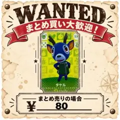 タケル　amiibo あつ森　アミーボカード　①