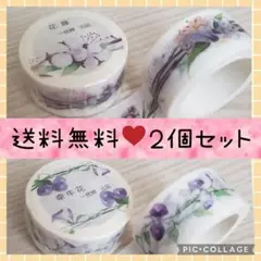 送料無料✨可愛い海外輸入マスキングテープ２本セット❤️新品mt☺️まとめ売り対応