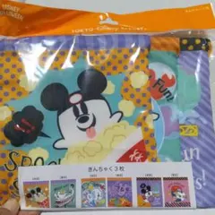 ディズニーリゾートきんちゃく3枚セット　新品