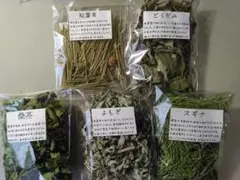 お試し野草茶　定番の5種類　松葉・ドクダミ・桑の葉・よもぎ・スギナのサムネイル