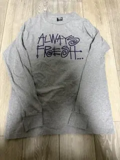 Stussy 長袖カットソー ALWAYS FRESH グレー Mのサムネイル
