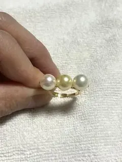 かかお様確認用です。