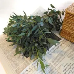 saki様 リクエスト 2点 まとめ商品