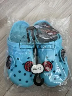 Item thumbnail for item f277a875-4974-4985-ae55-84d2defe3187