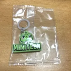 SEVENTEEN MINITEEN ぷっくりめじるしアクセサリー The8
