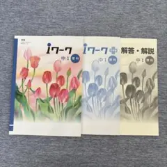 iワーク 中1 国語 数学 理科 歴史 地理5冊セット - メルカリ