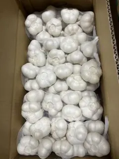 青森県産 令和７年産 にんにく 玉小 １0ｋｇ 青森県産 令和7年産 にんにく 玉小 10kg - メルカリ