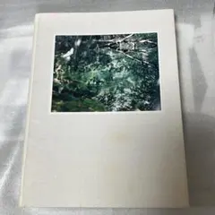 Risaku Suzuki鈴木理策Stream of consciousness