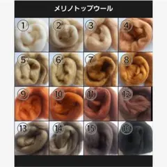 Item thumbnail for item 9c87a276-459a-47cb-b32d-b107bb333764