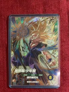 SDV4-009 孫悟飯:少年期