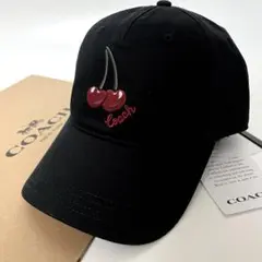 Item thumbnail for item c6f46999-9ce2-4fb2-99f6-457a553e7b3f