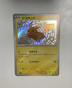 2025年最新】色違いピカチュウSの人気アイテム - メルカリ