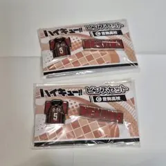 ハイキュー!! 音駒高校 孤爪研磨 ピンズセット