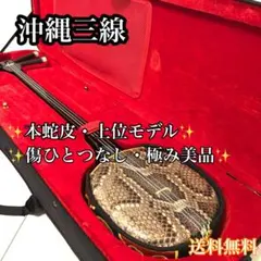 超希少】6弦 エレキ三線 蛇皮 6弦三線 ペグ仕様 六線 - メルカリ