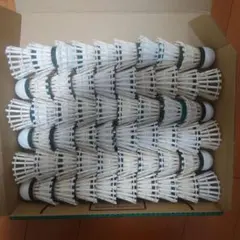 Item thumbnail for item fa18cf67-f52c-4b61-8550-abc140c75797