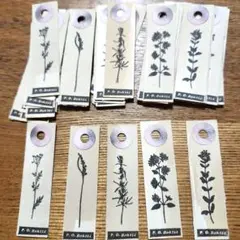 Item thumbnail for item 7ccd06ec-7bd0-4217-b2bc-17abd7cb130d