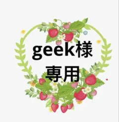 geek様 リクエスト 2点 まとめ商品